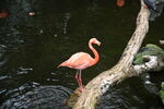 DSC_9163.JPG